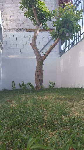 After golden always transparent