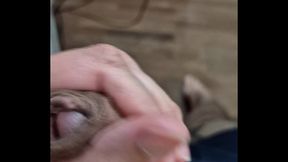 Juicy Cock Satisfies Brazilian Amateur in Homemade Solo Gay Session
