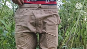 Jungle ka andar mein ghumne ke liye hai