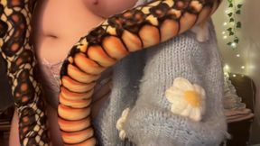 Kaa-Third Time's the Charm