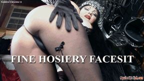 Fine Hosiery Face Sit