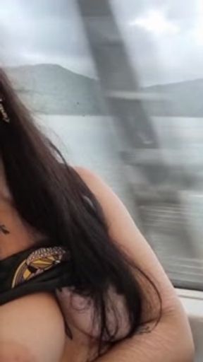 Exhibition GIF compilation