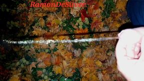 Master Ramon pisses in God&#039;s great outdoors, delicious