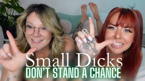 Small Dicks Don’t Stand A Chance Feet Tease