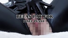 BETAS PAY FOR PIXEL PUSSY