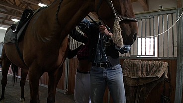 Hot Latina Jockey !