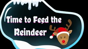 Time to Feed the Reindeer