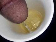 Drink the piss from my fat cock