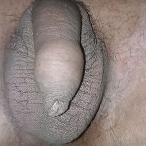 How Male Penis is Getting Ready For Sex. Masturbation Stage in Slowly Growing Penis.