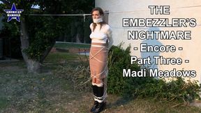 The Embezzler's Nightmare - Encore - Part Three - Madi Meadows - WMV