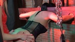 Hot brunette must have done something bad to be locked in the pillory