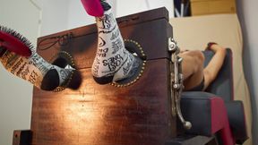 A Pet Eager to Be Tickled