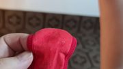 Ele limpou o melzinho da minha buceta peludinha com minha calcinha vermelha e deixou ela toda melada
