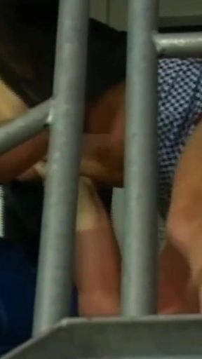 Golden Shower of Housewives