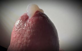 Penis Dripping