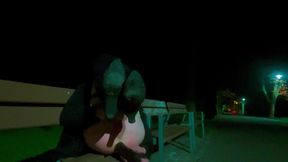 Femboy at Night in the Park