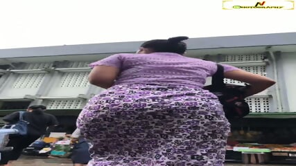 Myanmar walking ass (4)