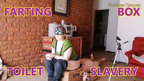 Farting Female Domination 9 - Facefarts, Fart, Farting, Ass Worship, Face Sitting, Female Domination, Ass Eating 720p