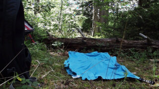 Сольный фильм о молодой польской лесбиянке-любительнице, мастурбирующей с помощью дилдо