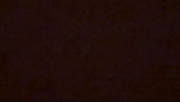 Bradnewman - update #326 - IMG 0212 - Jan 26, 2026