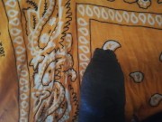 men small dick handjob masturbation cumming juice