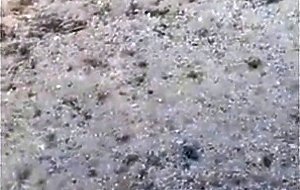 Beach Head with Cum