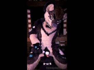 Hyena fursuiter and the magic desire