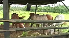 A Black slave fucks his White master at a ranch in the south