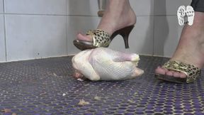 Raw Chicken under Christins Mules floor view
