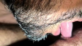 Arab Gay Hairy Ass Beared Blowjob