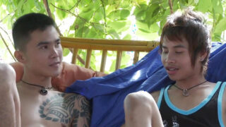 Amatör genç Asyalı eşcinsel fahişeler arkadan ilişkiye girdiler