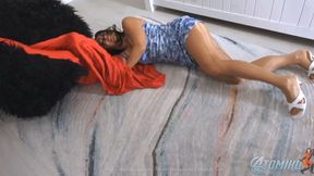 TOMIKO PRINCE SURPRISE DATE - WMV