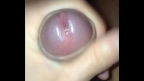 chaqueta precum y venida