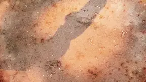 Wild orgies with magnificent beauties getting fucked