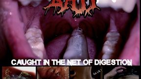 [HD irl vore] BAIT: CAUGHT IN THE NET OF DIGESTION- unaware giant gulps you whole into his churning belly ??VOICED VERSION??