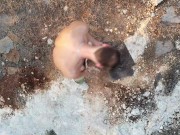 Naughty Drone
