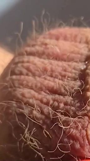 Unforgettable moment from &quot;Thick, fat, hard banded cock comes without squirting during horny banding session&quot;