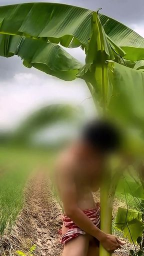 Thai guy fuck banana tree