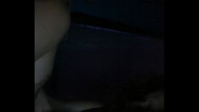 Wowzer Bowzer (mutts)