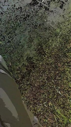 Slutboyben Cam4 Brainfukked Watcher Exposure