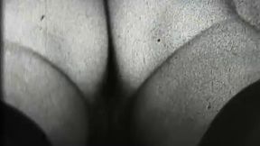 Busty Stags