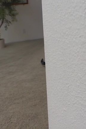 Shelby Andrews: a Sexy Latina with a Perfect Body Fucked Really Hard