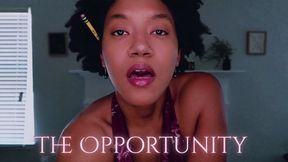 The Opportunity
