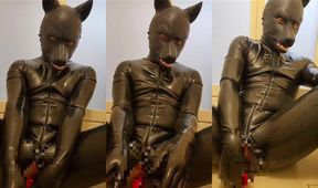 Latex puppy mesmerized with solo toy worship