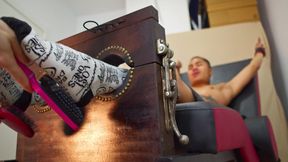 A Pet Eager to Be Tickled