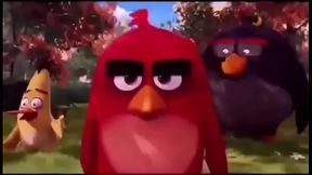 Angry Birds Gimiendo