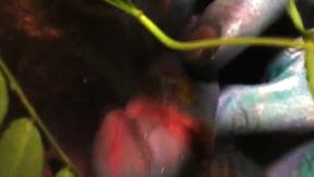 He was covered in body paint and calmly stroking his dick then I put my fingers in his ass and made