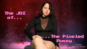 The JOI of The Pixeled Pussy - 1080p mp4