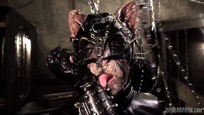 Horror Porn 51 Fetish Cougar