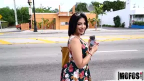 Hot.com - Kitty Caprice - Public Pick Ups